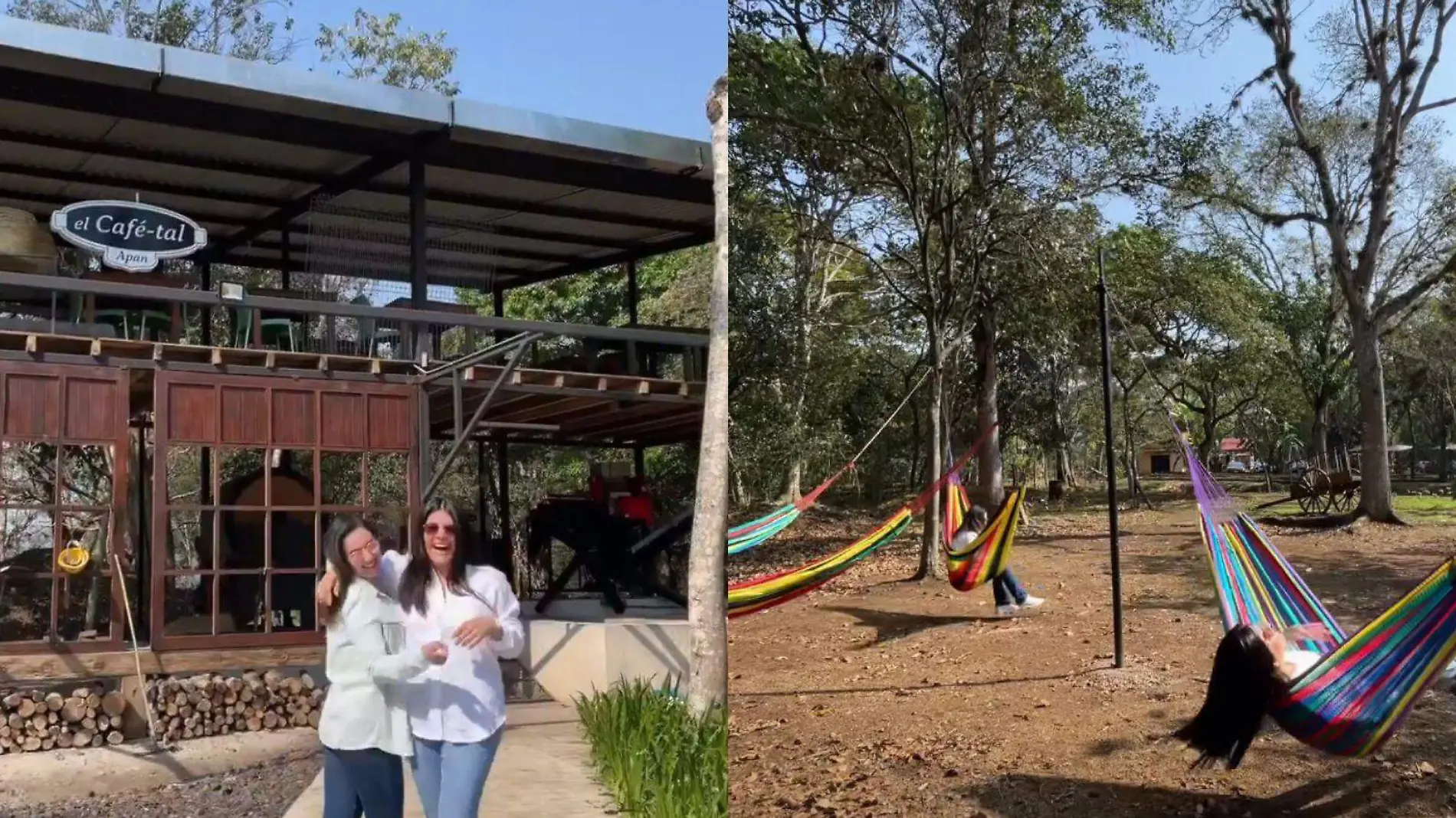 Parque del Café-tal apan, cómo llegar y qué actividades hay